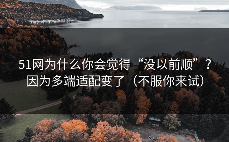 51网为什么你会觉得“没以前顺”？因为多端适配变了（不服你来试）